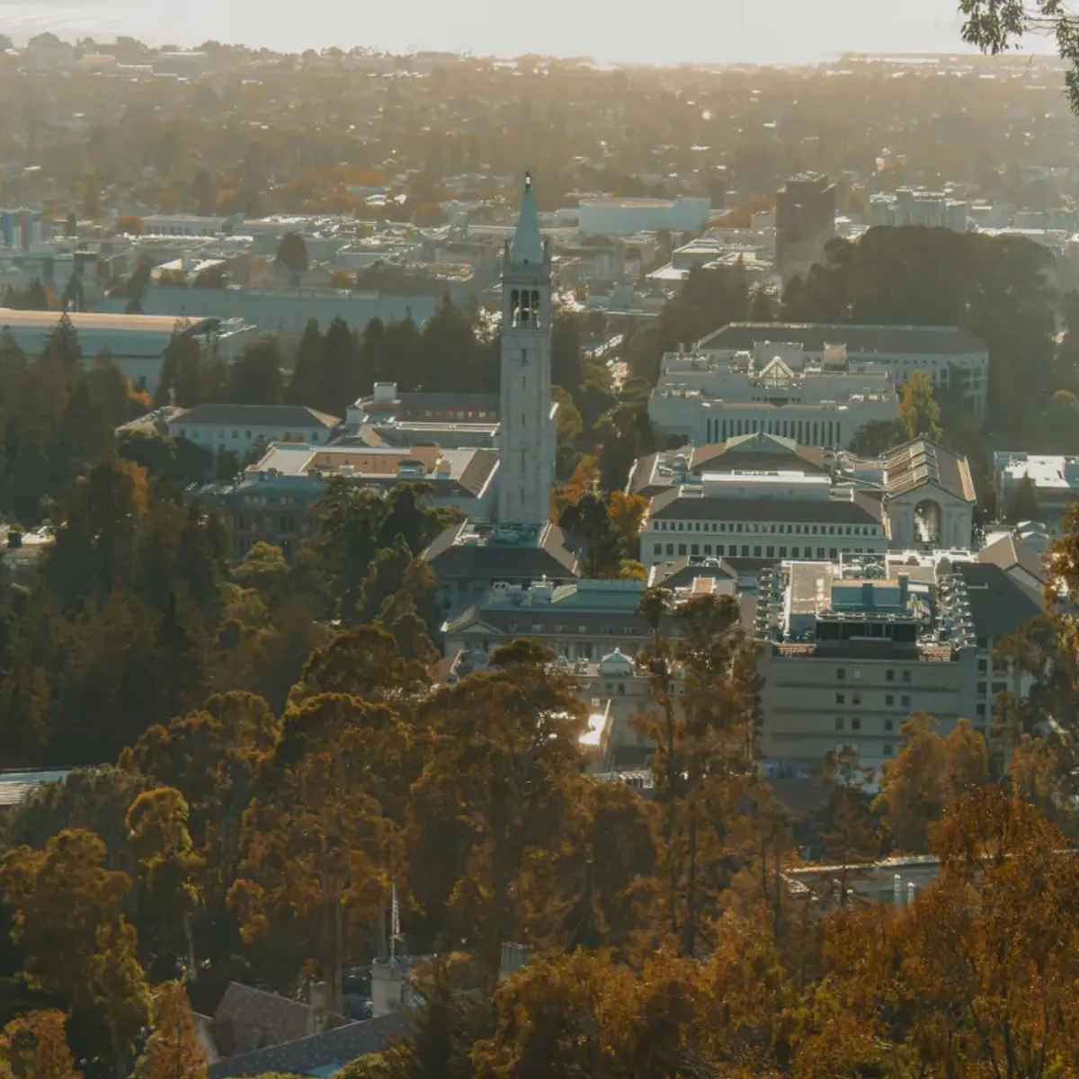 From Faisalabad to UC Berkeley: My Journey as an International Student